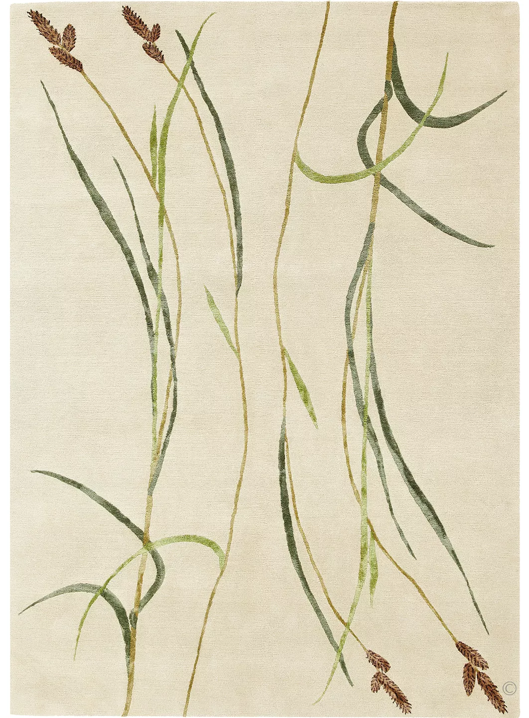 Hairy Sedge