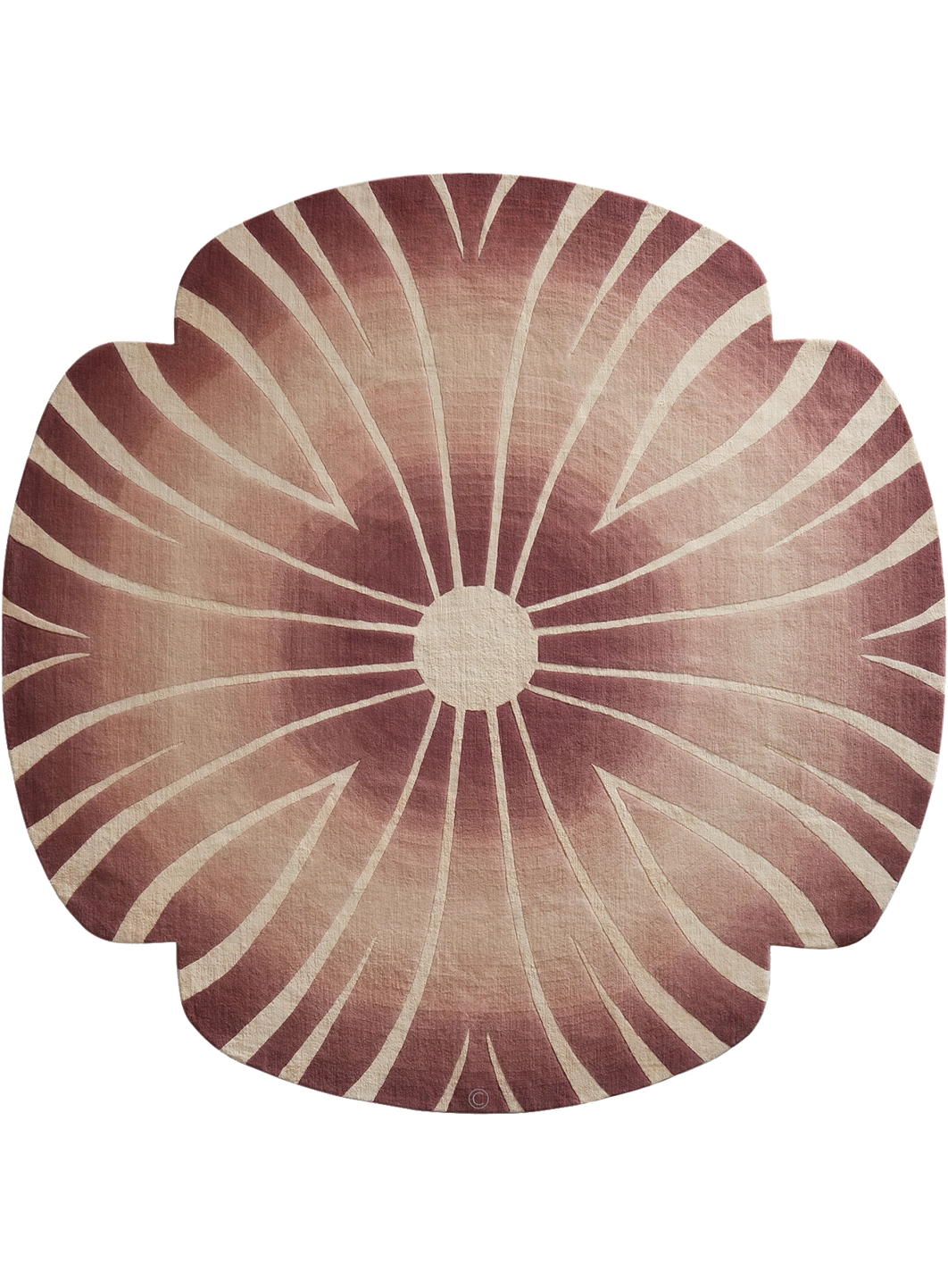 Sea Shell