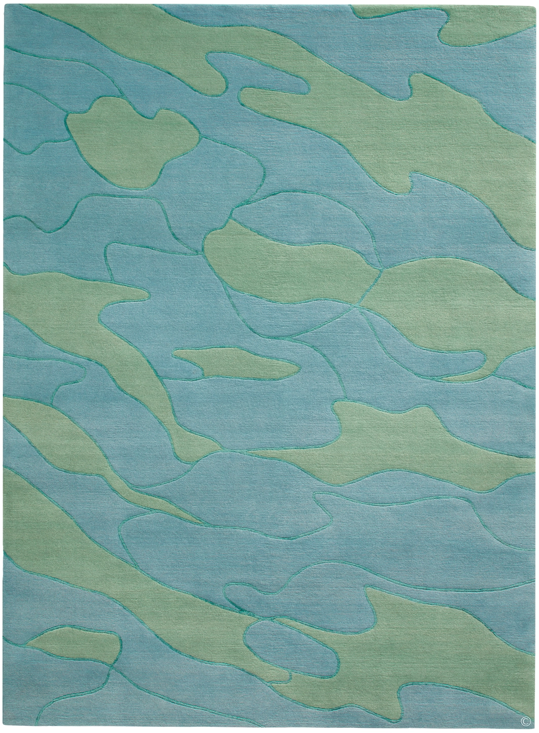 Shallows