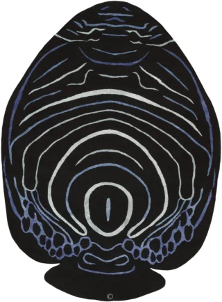 Angelfish