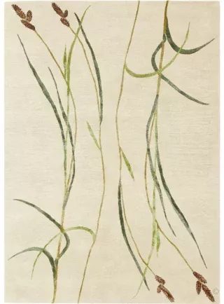 Hairy Sedge