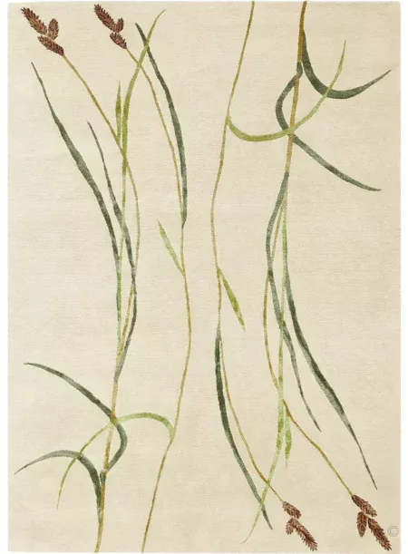 Hairy Sedge