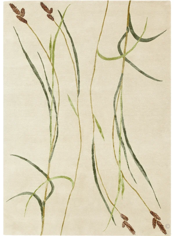 Hairy Sedge