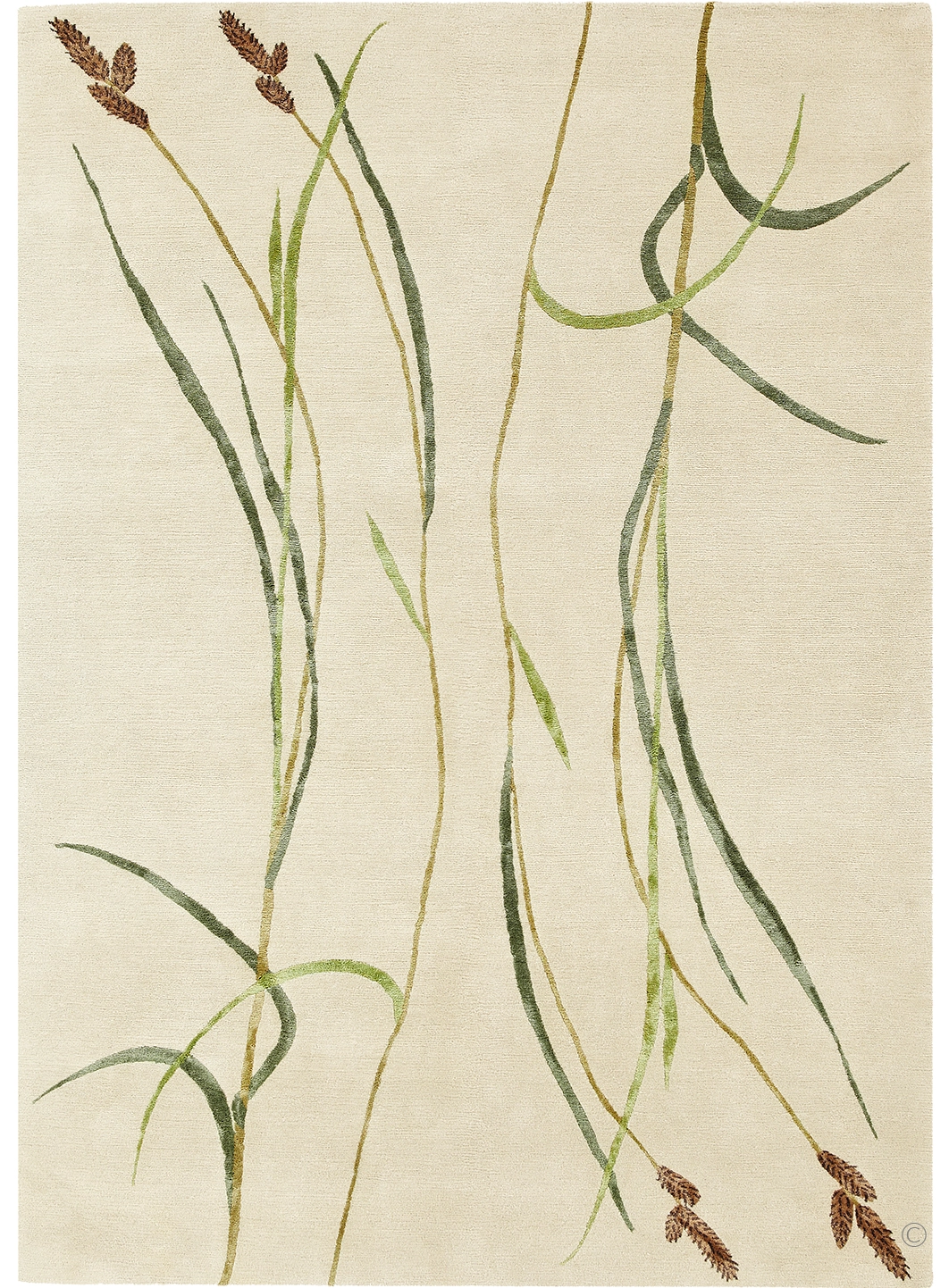 Hairy Sedge