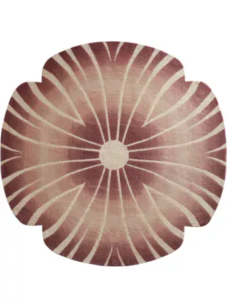 Sea Shell