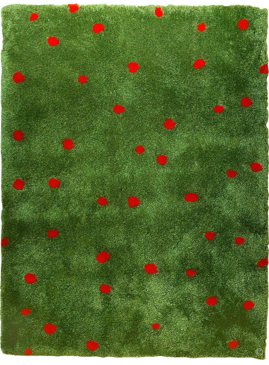 Poppy Field