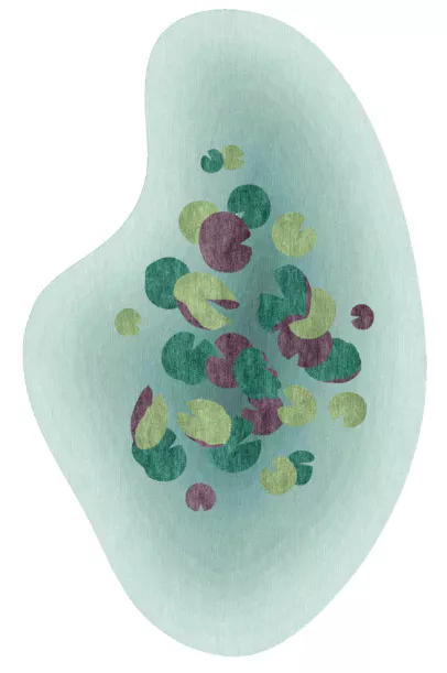 LILYPOND (Shaped)