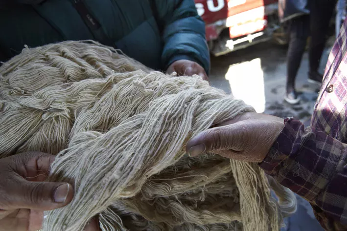Selecting the finest yarn for a Deirdre Dyson hand knotted rug